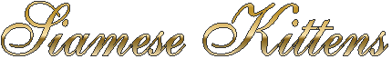 DUN OWEN