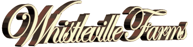 Welcome to Whistleville Farms, we're glad you're here!